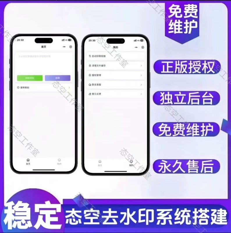 态空去水印系统-态空工作室